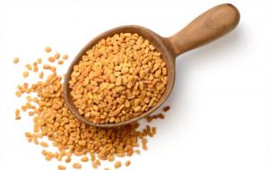 Fenugreek 