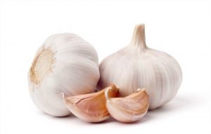 garlic