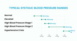 systolic blood pressure range chart