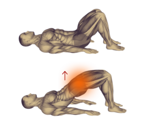 kegel workout for men Floor Exercise While lying on your back