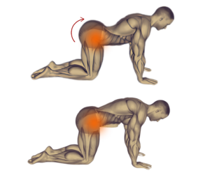 kegel exercise for ED problem While kneeling and standing with hands