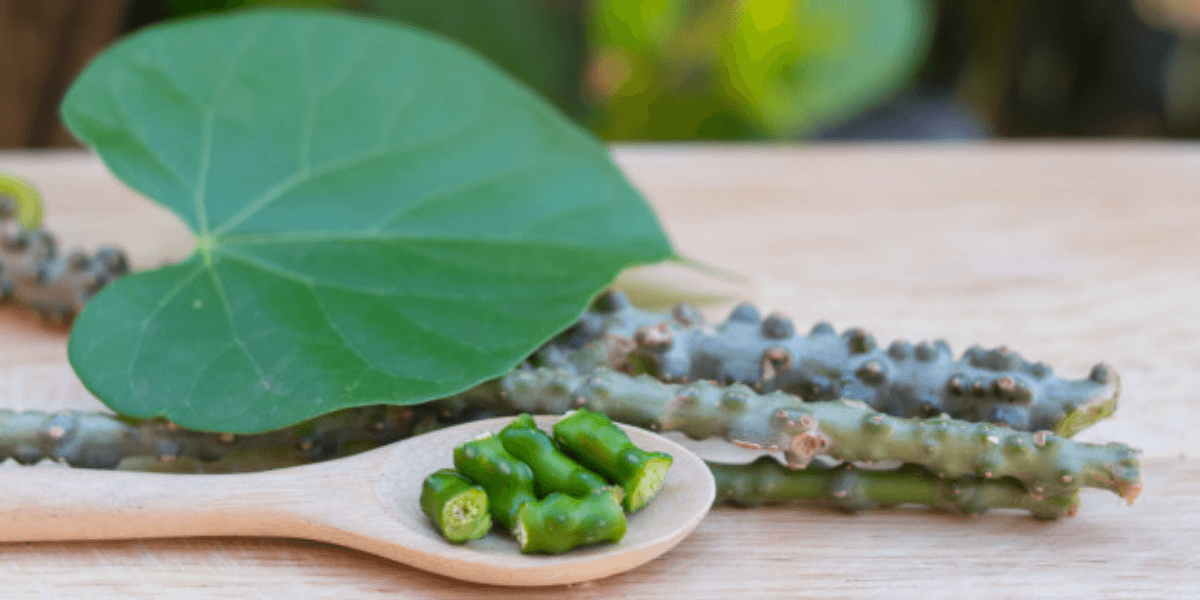 Top 10 Healthy Amazing Benefits of Giloy!