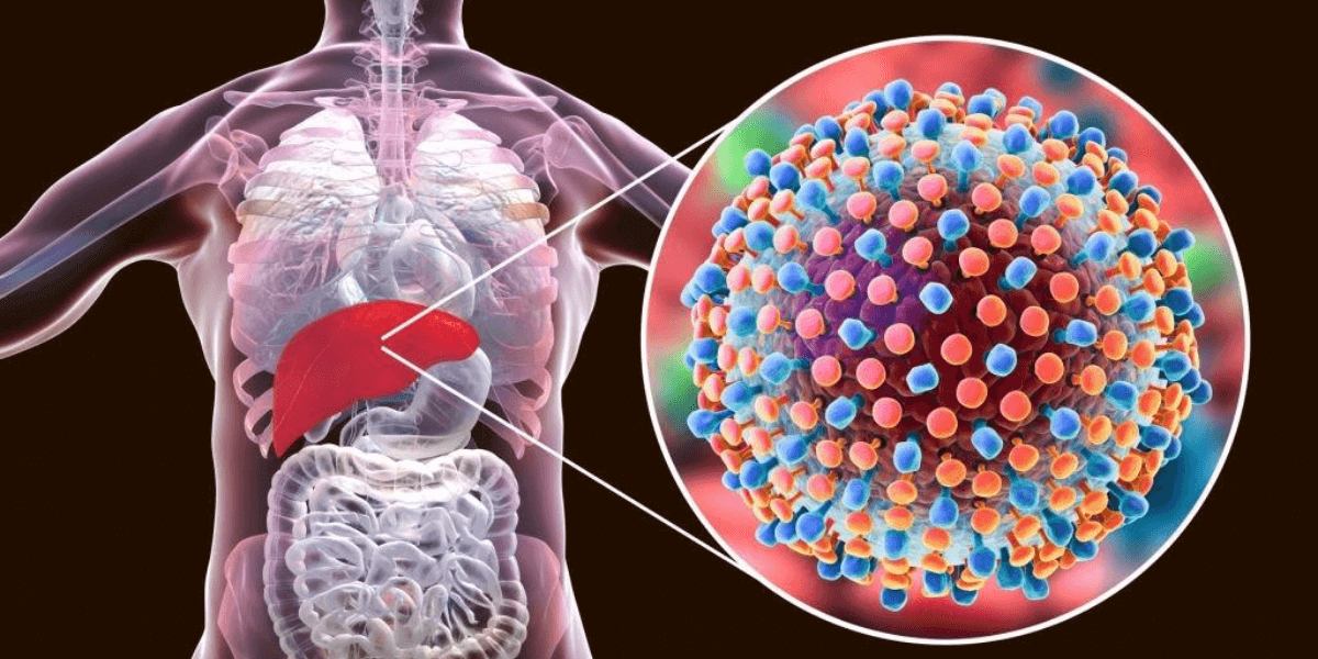 What are the Consequences of Hepatitis C on your body?