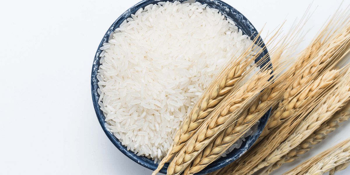 Discover Different Varieties of Rice that Helps in Preventing Obesity