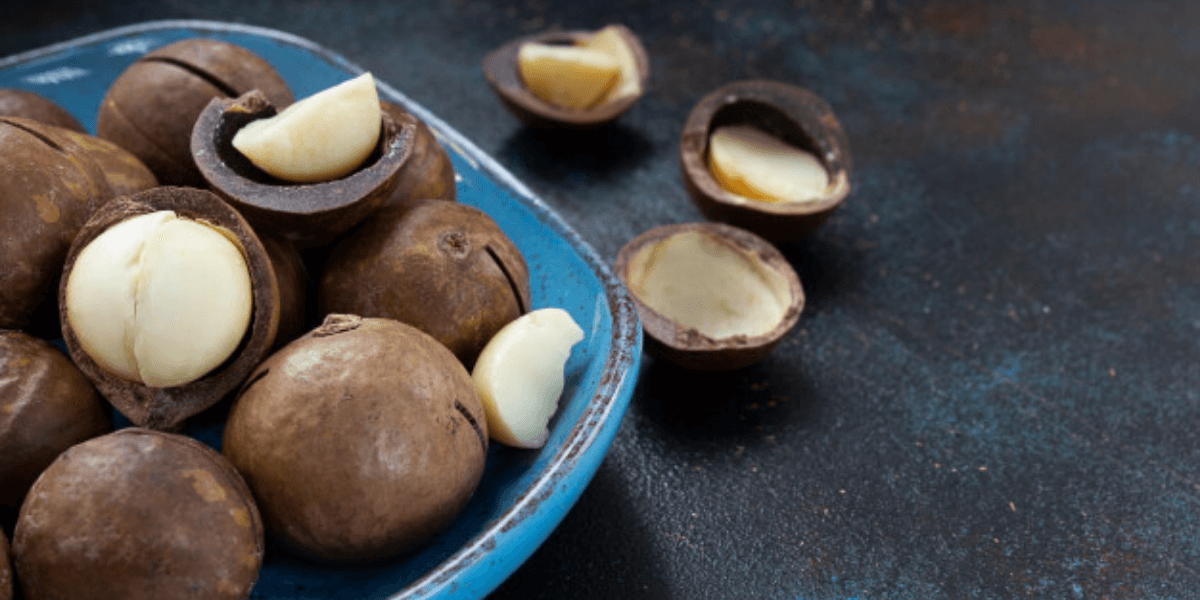 How Does Vitamin B6 Help In Boosting The Immune System Of The Human Body?