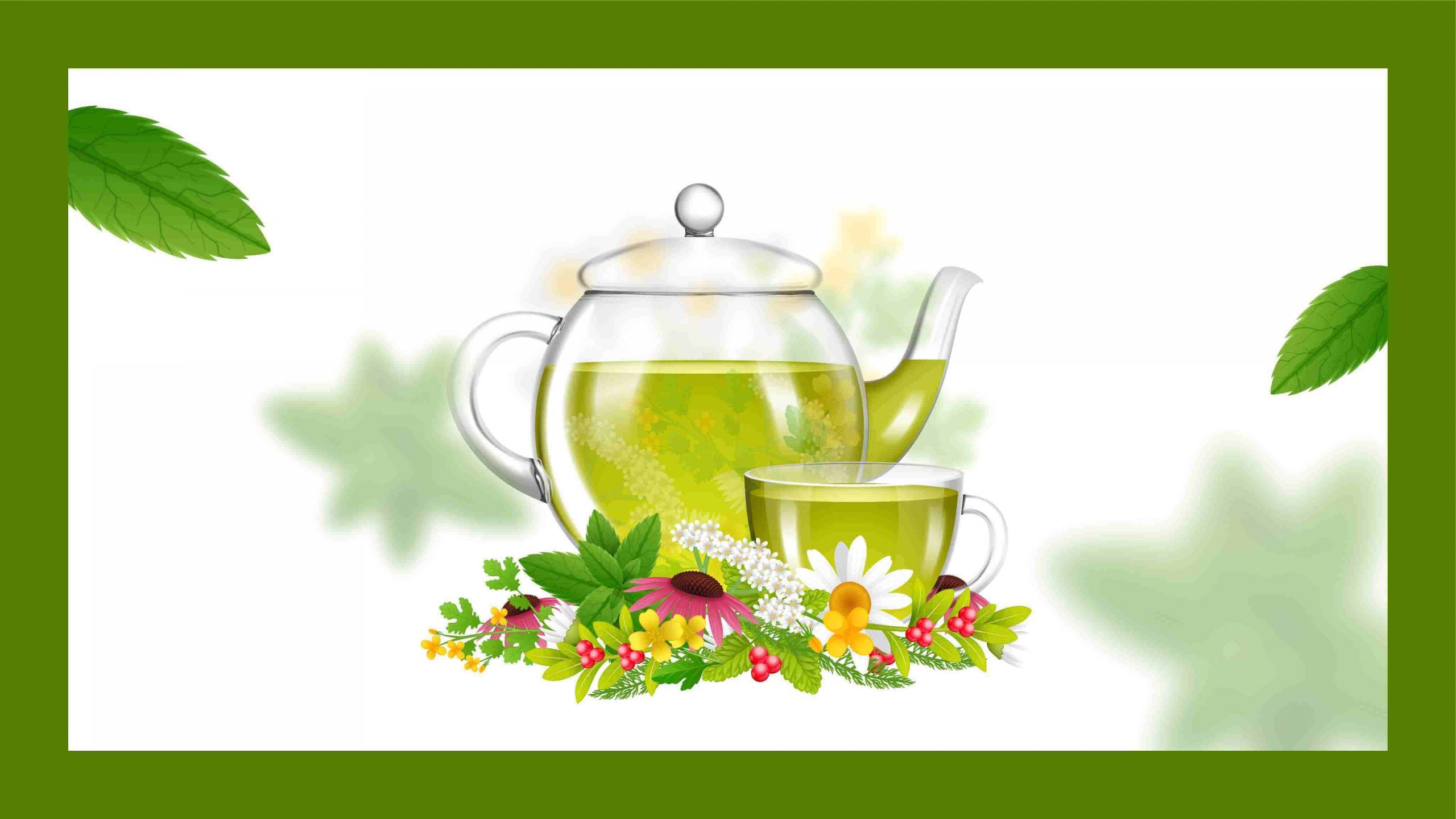 10 Best Healthy Herbal Teas for Soothing Anxiety, Stress Relief, and More