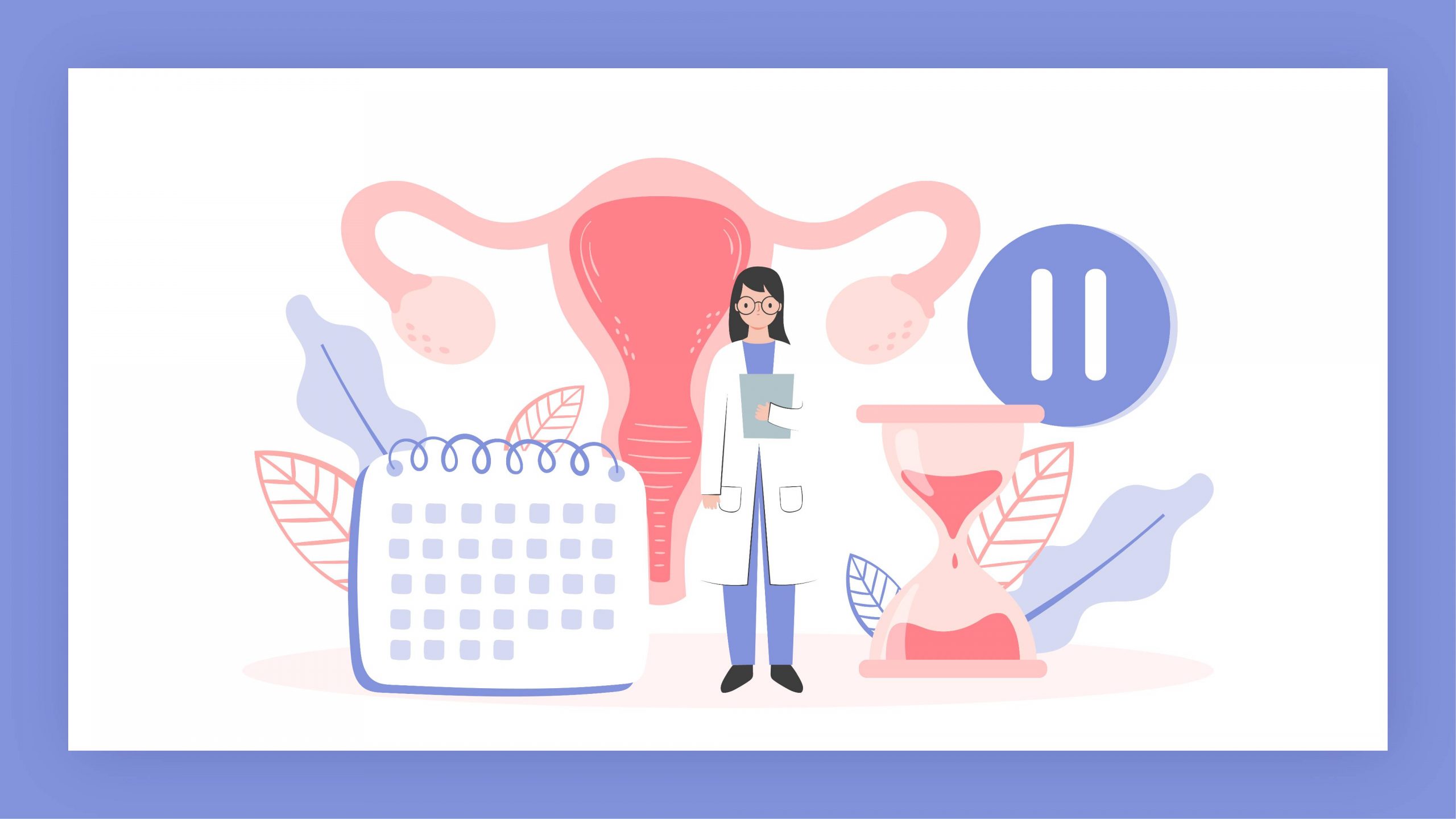 What Is the Anatomy and Function of the Female Reproductive System?